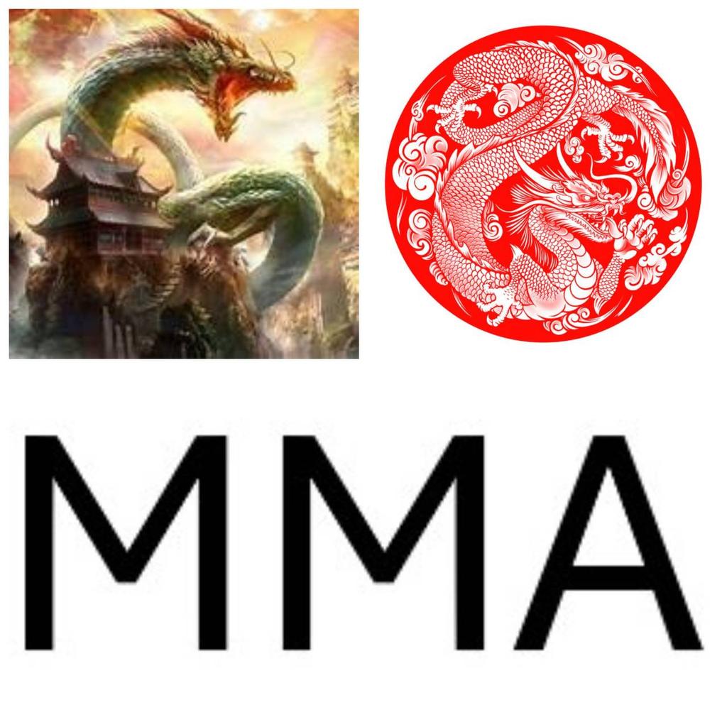 Maglietta Dragon Muay Thai Kick Boxing Stampa 3D Vintage Allenamento Protezione UV Asciugatura Rapida Uomo Donna Unisex Manica Corta Girocollo MMA Arti Marziali Miste