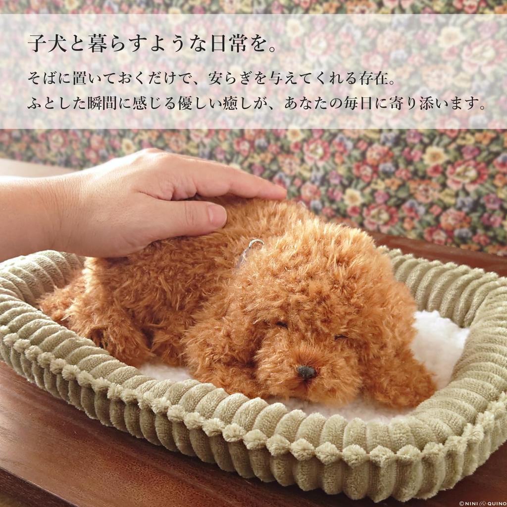 Ninian and Kino Perfect Pet (Small Size) Toy Poodle Plush Toy Dog Realistic Look-alike Goods Animal Healing Moving Present Gift Celebration Cute Dog