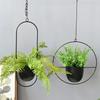 Wrought Iron Hanging Planter European Style Hydroponic Flower Pot for Spider Plants Succulents Vintage Balcony Garden Decor