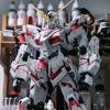 HG Strike Freedom Unicorn Red Astray Gundam Model Building Kit