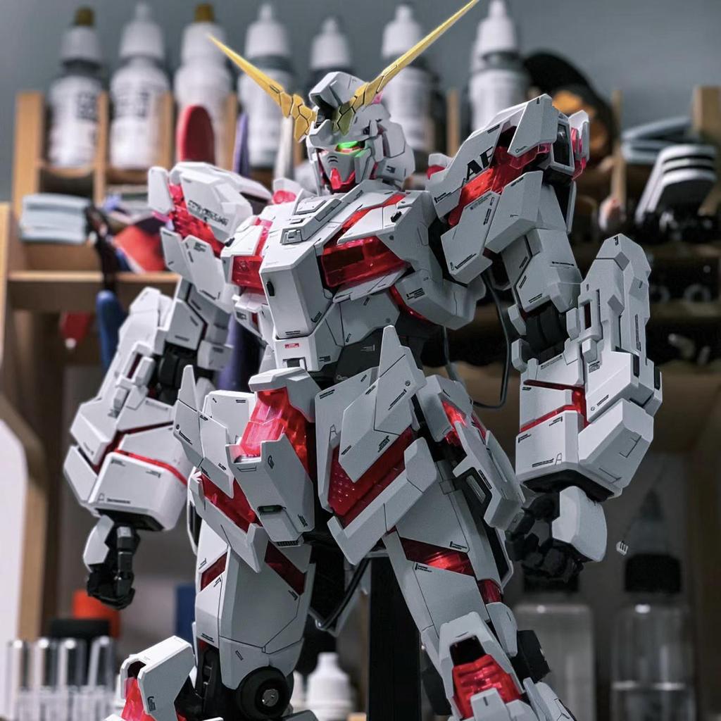 HG Strike Freedom Unicorn Red Astray Gundam Model Building Kit