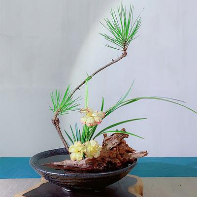 Flower Frog Japanese Ikebana Set Desktop Ceramic Bowl Vase with Kenzan Needle Flower Arrangement Holder for Living Room Bedroom Office
