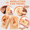 Tools Body for Hearing Teaching Simulation Ear Jewelry Earrings Display Silicone Ear Model Fake Ear