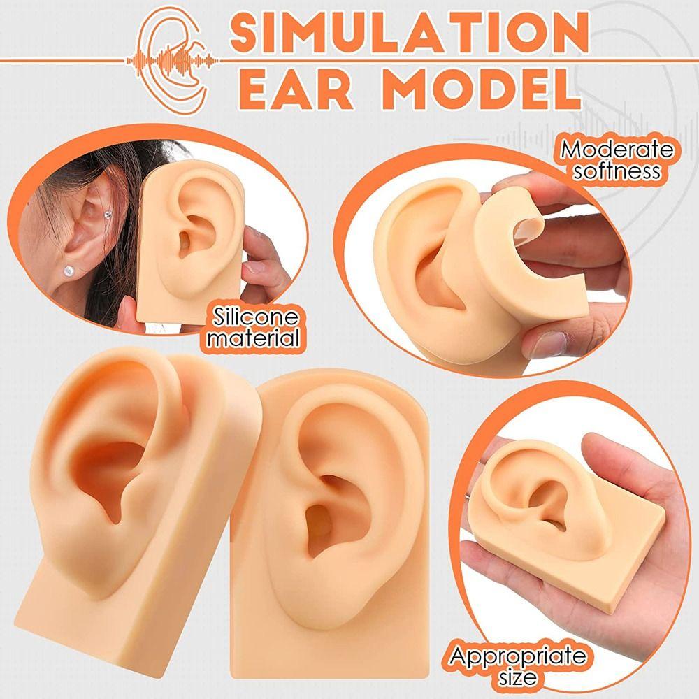Tools Body for Hearing Teaching Simulation Ear Jewelry Earrings Display Silicone Ear Model Fake Ear
