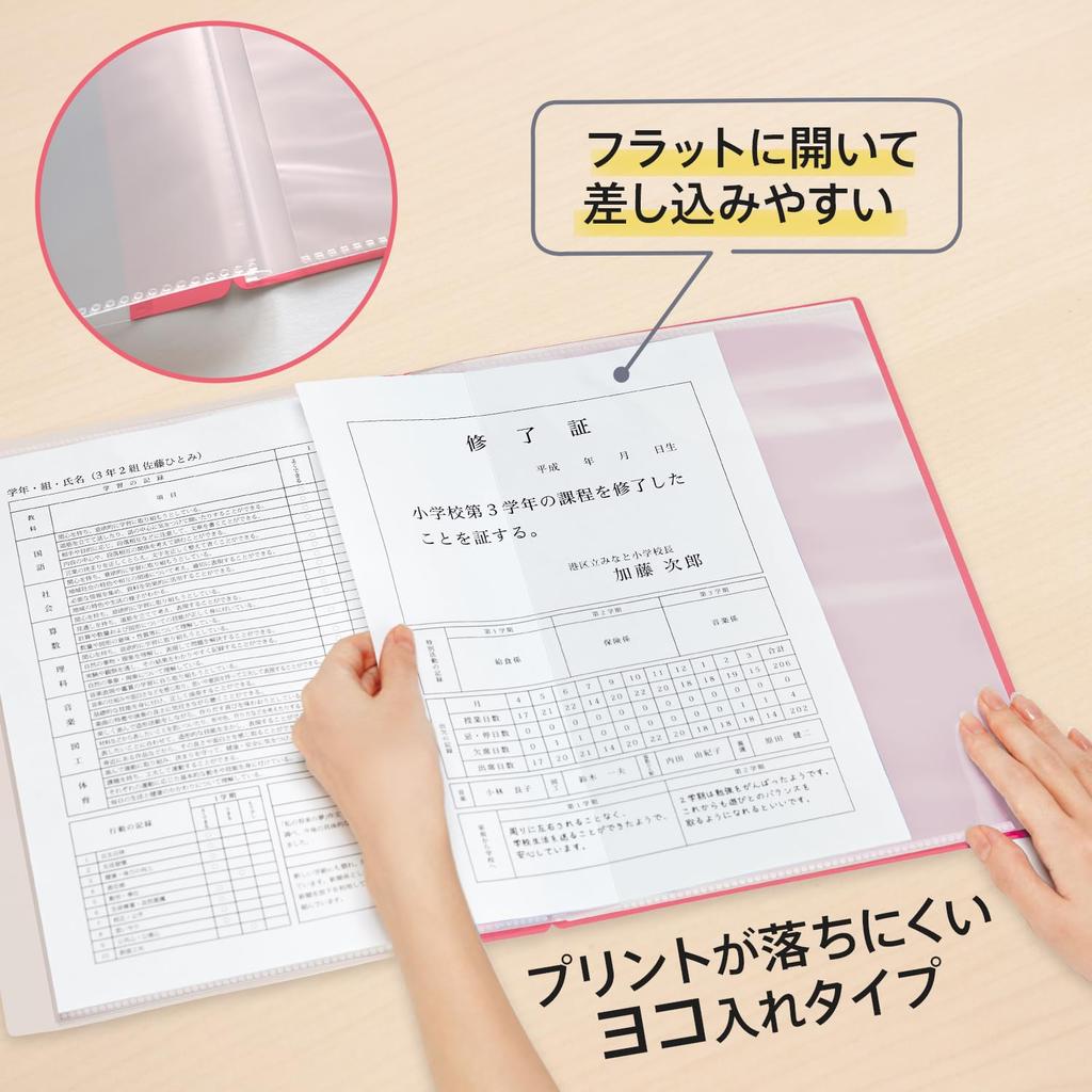 Plus Pocket Report Card Horizontal 10 Pack of x 10 File, File, Insert, Pockets, 10, Red, FL-198GD, 79-974