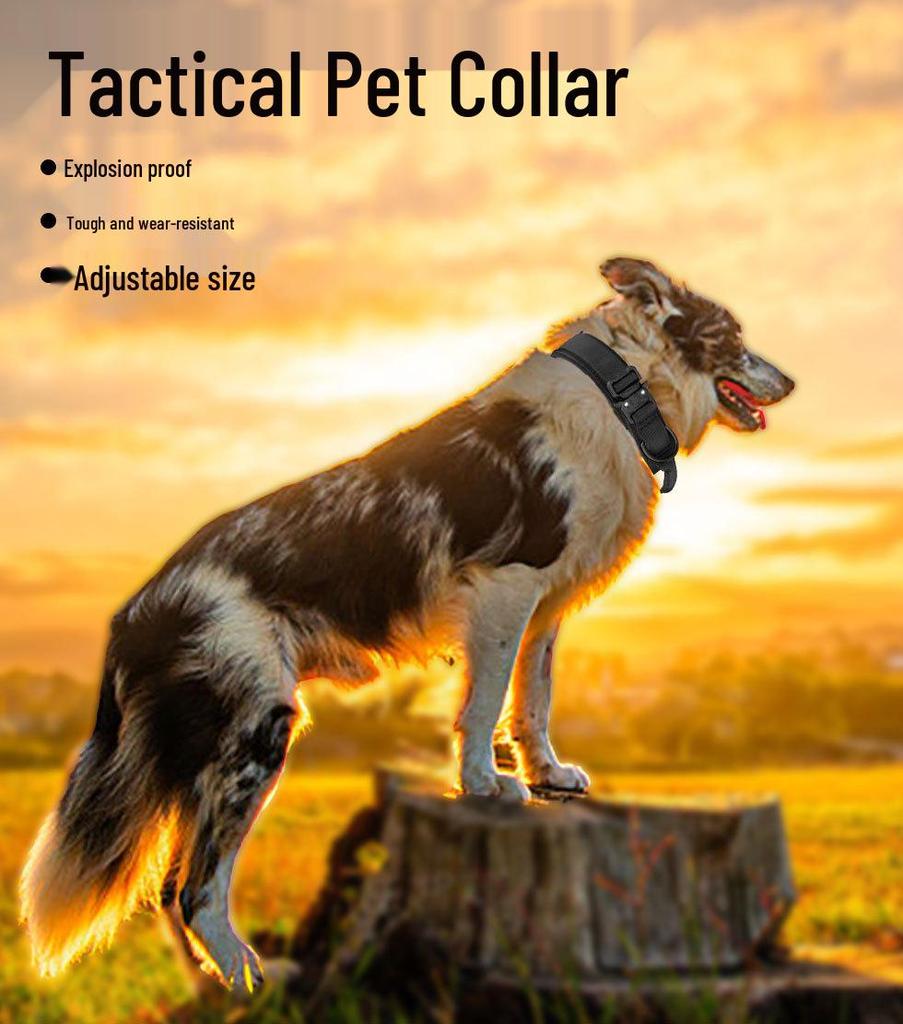 Adjustable Tactical Nylon Dog Collar & Leash Set for Medium-Large Pets