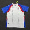 Haiti jersey 2026 national team unpopular Piero football jersey Haiti soccer jersey shirt