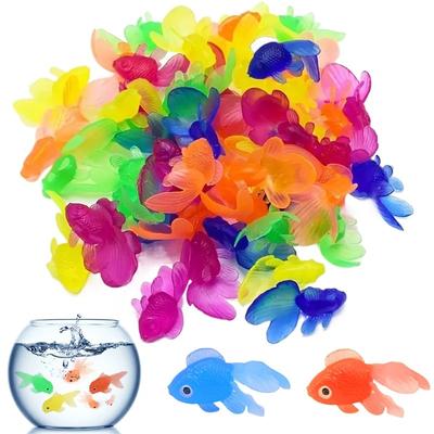Fische & Meerestiere – Aquarien-Einrichtung