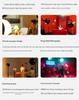 Aputure Amaran 300c Full-Color 300W Soft Spotlight for Video/Live Streaming.