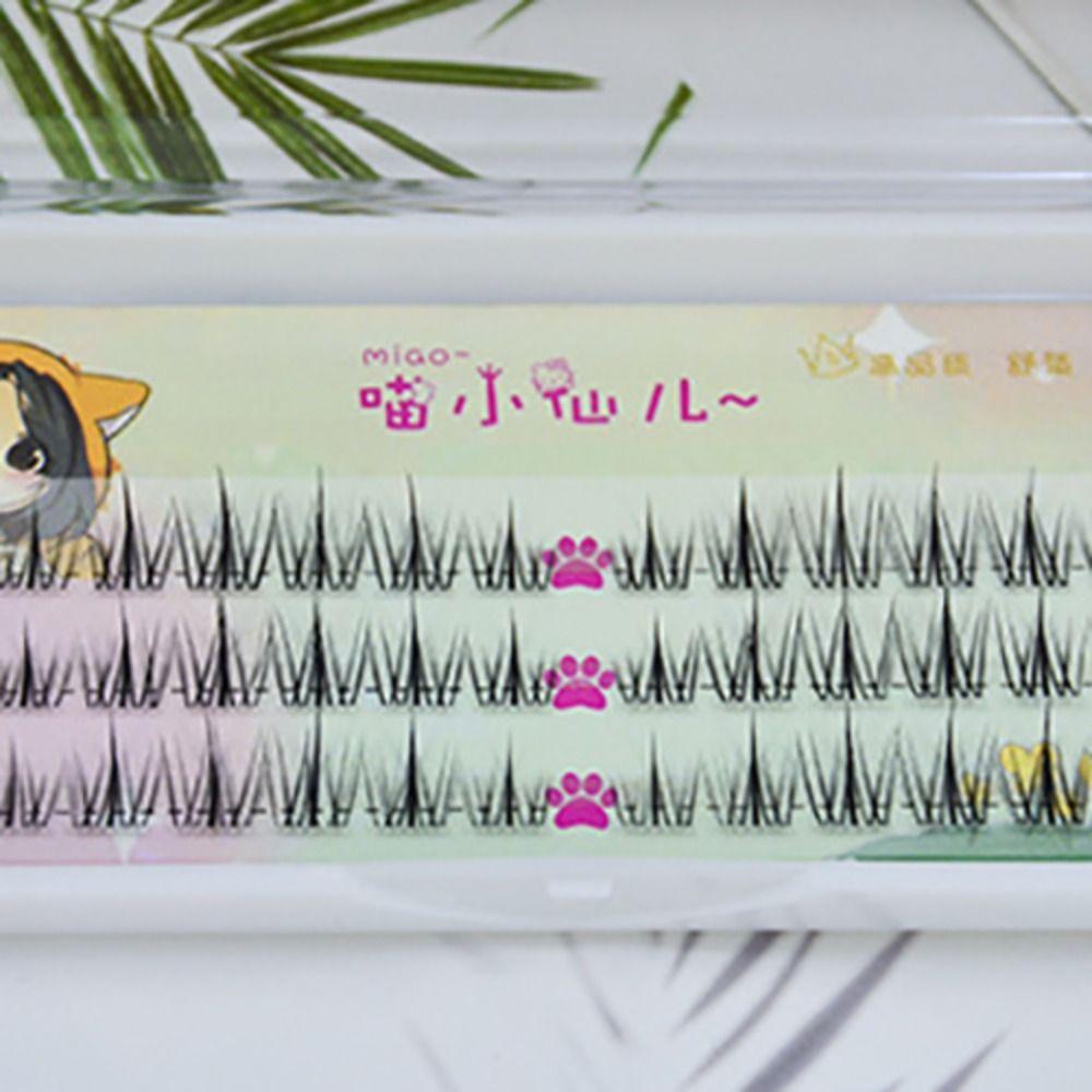 DIY Individual Cluster Eyelashes Lashes Extension Segmented Eyelashes Bundles  DIY
