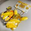 [USED] Pokémon Magnetic Pair Mascots Matching Pairs - Raichu & Alolan Raichu Mascots Raichu, Alolan Raichu