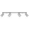 Merida 4L Gray Ceiling Lamp