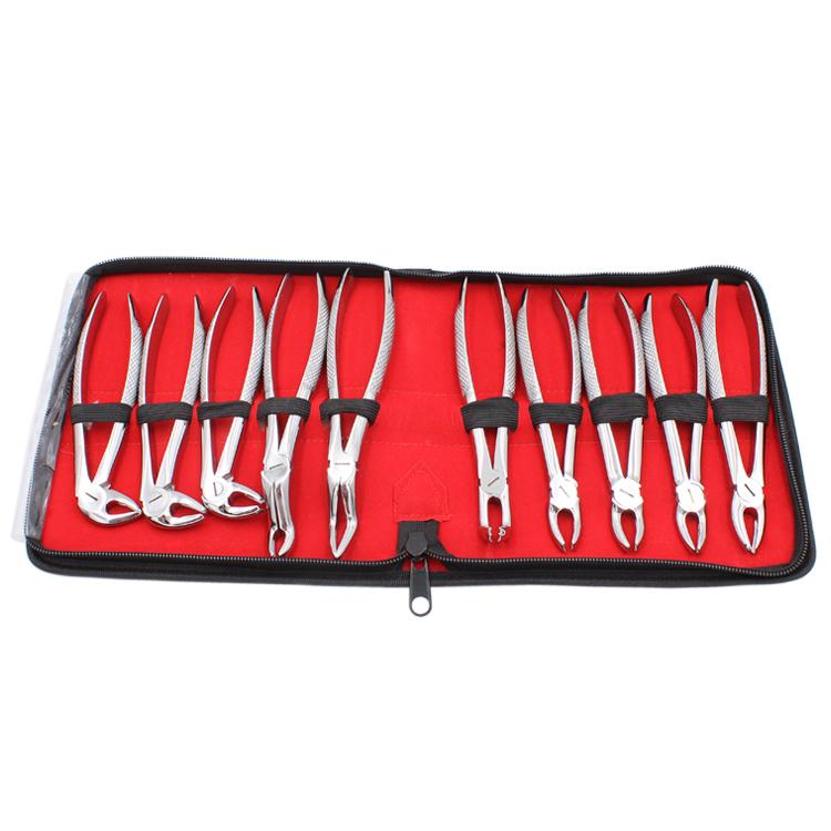 Ensemble d'instruments buccaux, dix pièces, pince d'extraction dentaire en acier inoxydable pour adulte