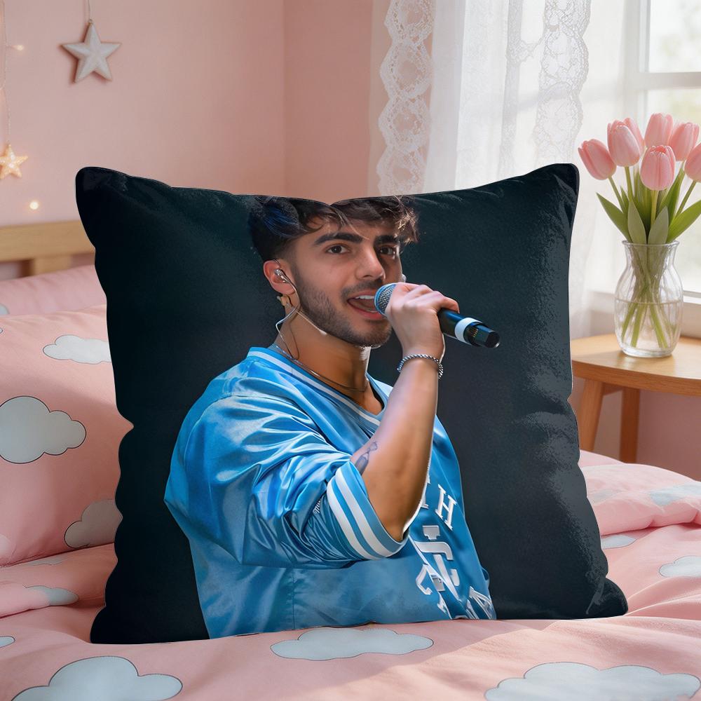 Internet Celebrity Fede VVigevani Cushion Cover Square Short Plush Pillow Case Living Room Sofa Home Decor Funda X