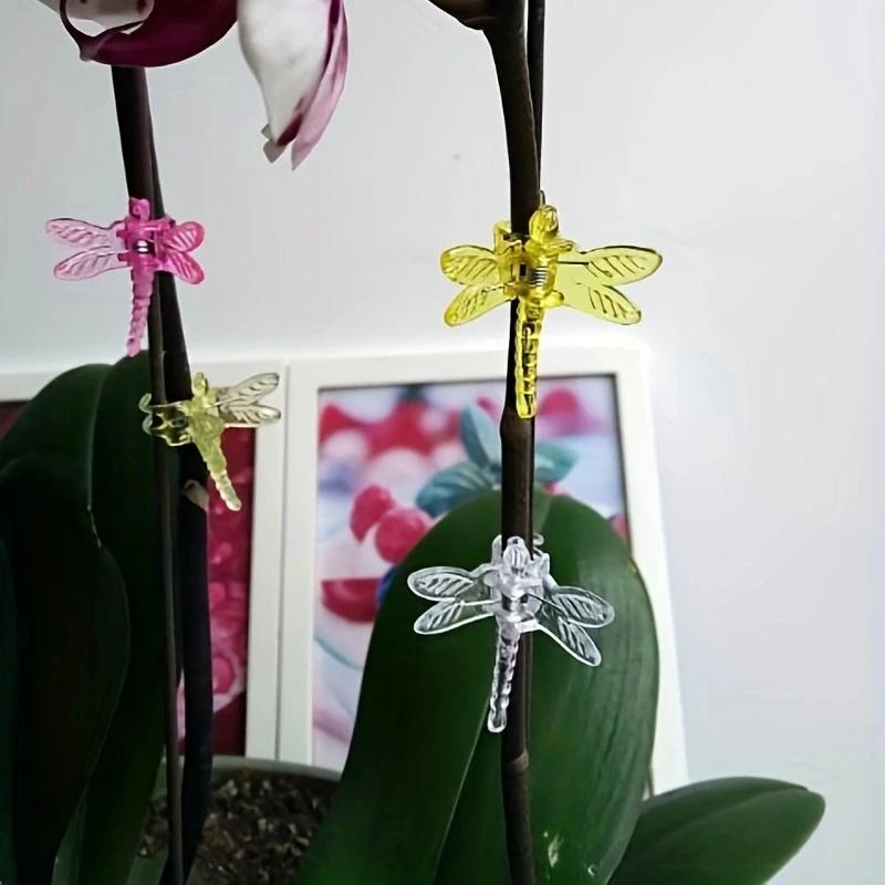 6pcs- Orchid Clips Plastic Garden Plant Dragonfly Butterfly Clamps for Support Flower Vine Decoration Ornamental Clips Mixed