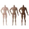 12.20Inch Poseable Male Figure Body Realistic Muscle Definition 13 Flexible Joint Realistic PVC Male Figure Body