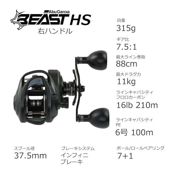Abu Garcia Beast LP Beast 300 High Gear Baitcasting Reel Low Profile Bass Saltwater Monster Fish Big