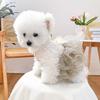 PETCIRCLE pet clothes small dog puppy cute pet multi-layer mesh tutu skirt camellia lace skirt