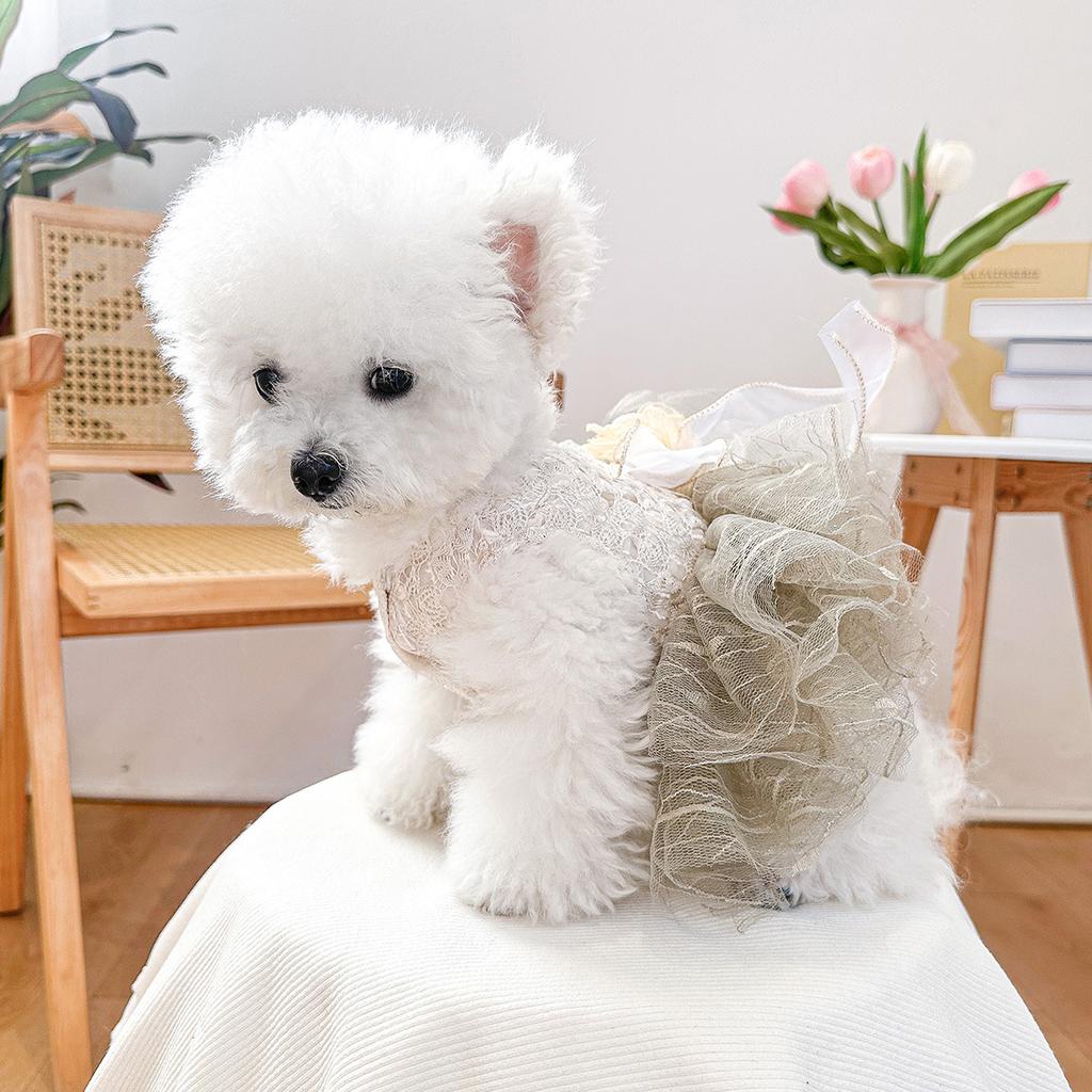 PETCIRCLE pet clothes small dog puppy cute pet multi-layer mesh tutu skirt camellia lace skirt