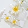 3Pcs/Set Hair Accessories Ponytail Clip Gradient Hairpin Plumeria Hawaiian Headwear  Beach