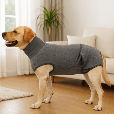 Cães – Cuidados de cães