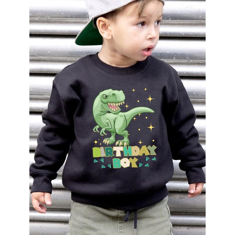 Kids Sweatshirt Autumn Winter Fashion Fleece Sweatshirt BIRTHDAY BOY Head-Turning Dinosaur Cartoon Pattern Print Loose Casual Long