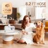 Multi-functional Pet Grooming Kit with Vacuum Cleaner Quiet Pet Hair Vacuum Grooming Tool Dog Hair Removal Vacuum for Home Use
