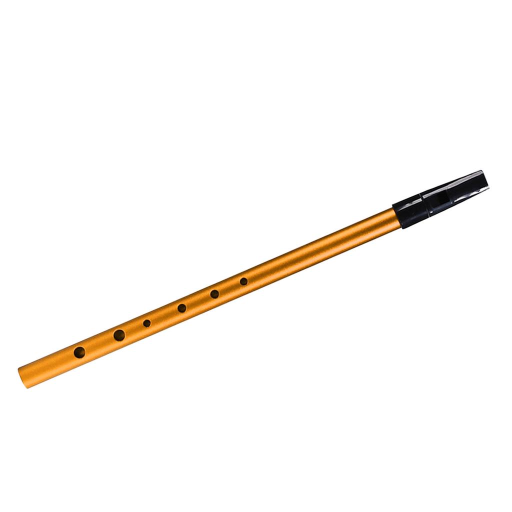 Irish Whistle C Key 6 Hole Key of C 6 Holes Flute Penny Whistle Tin Whistle Wind Musical Instruments for Student