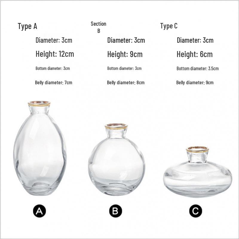 Elegant Mini Light Luxury Glass Vase Set: Creative Desktop Decor for Fresh Flowers In Living Rooms