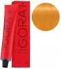 Schwarzkopf Igora Royal Hair Dye 60ml 0-55 Gold Concentrate