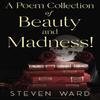 A Poem Collection Of Beauty And Madness by Steven Ward Paperback Book 9781835433232