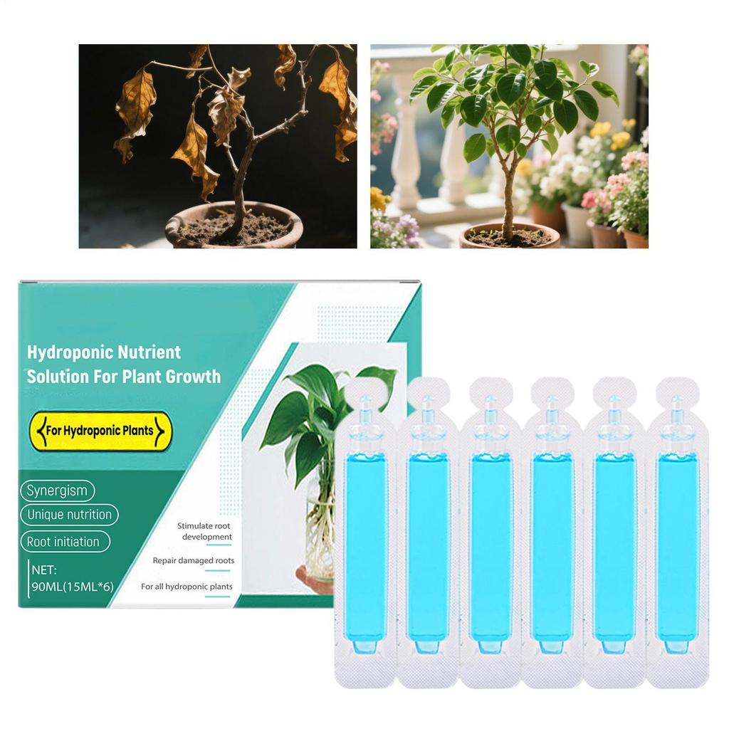 6*15ml Hydroponic Plant Nutrient Solution For Rich Bamboo Green Dill Copper Money Grass Growth Nutrient Solution