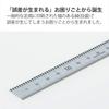 KOKUYO True Ruler 15cm