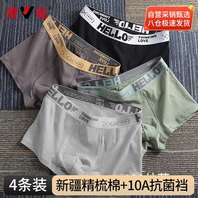 Chiloței – Boxeri