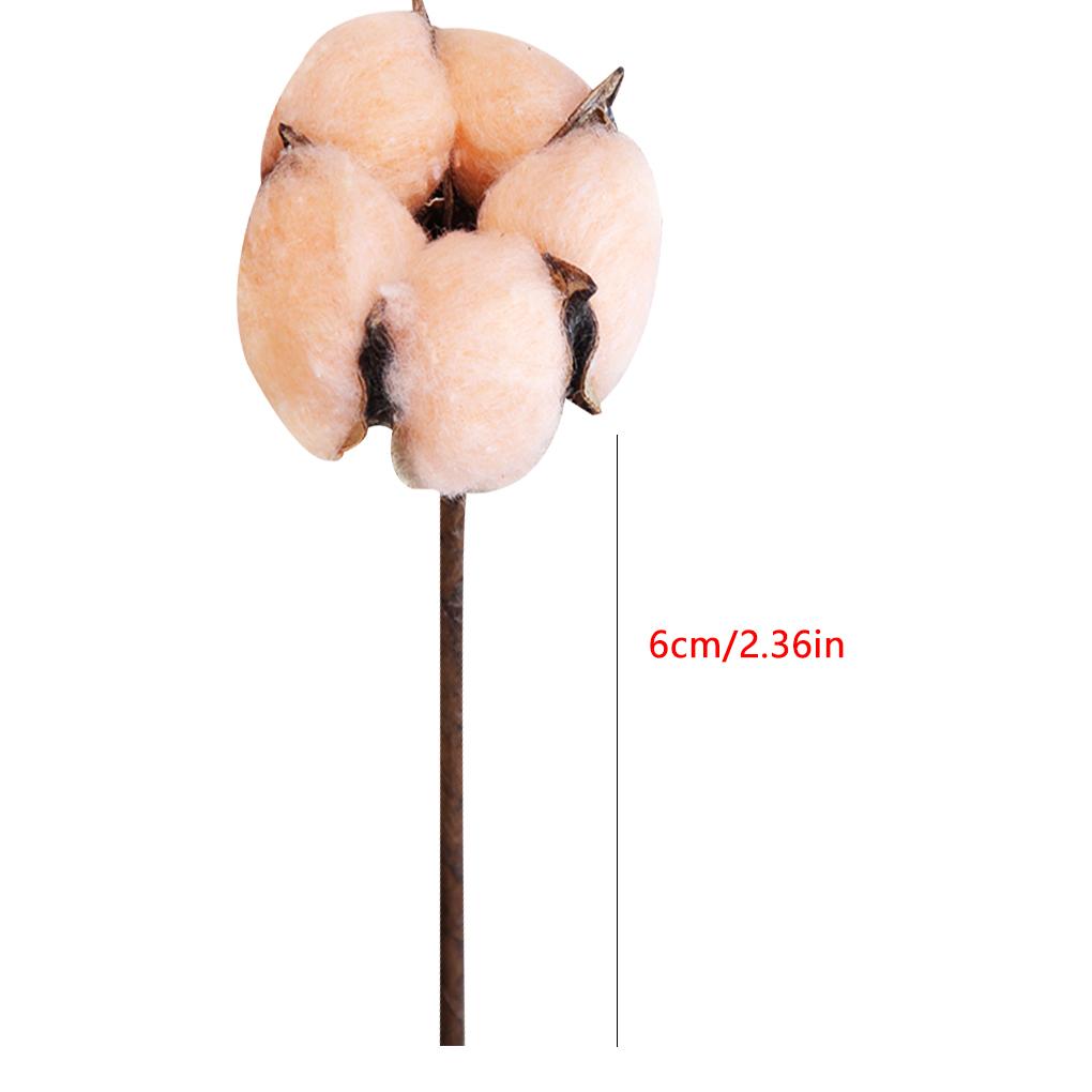 

Naturally Dried Cotton Stems Artificial Flower Floral Home Decor белый