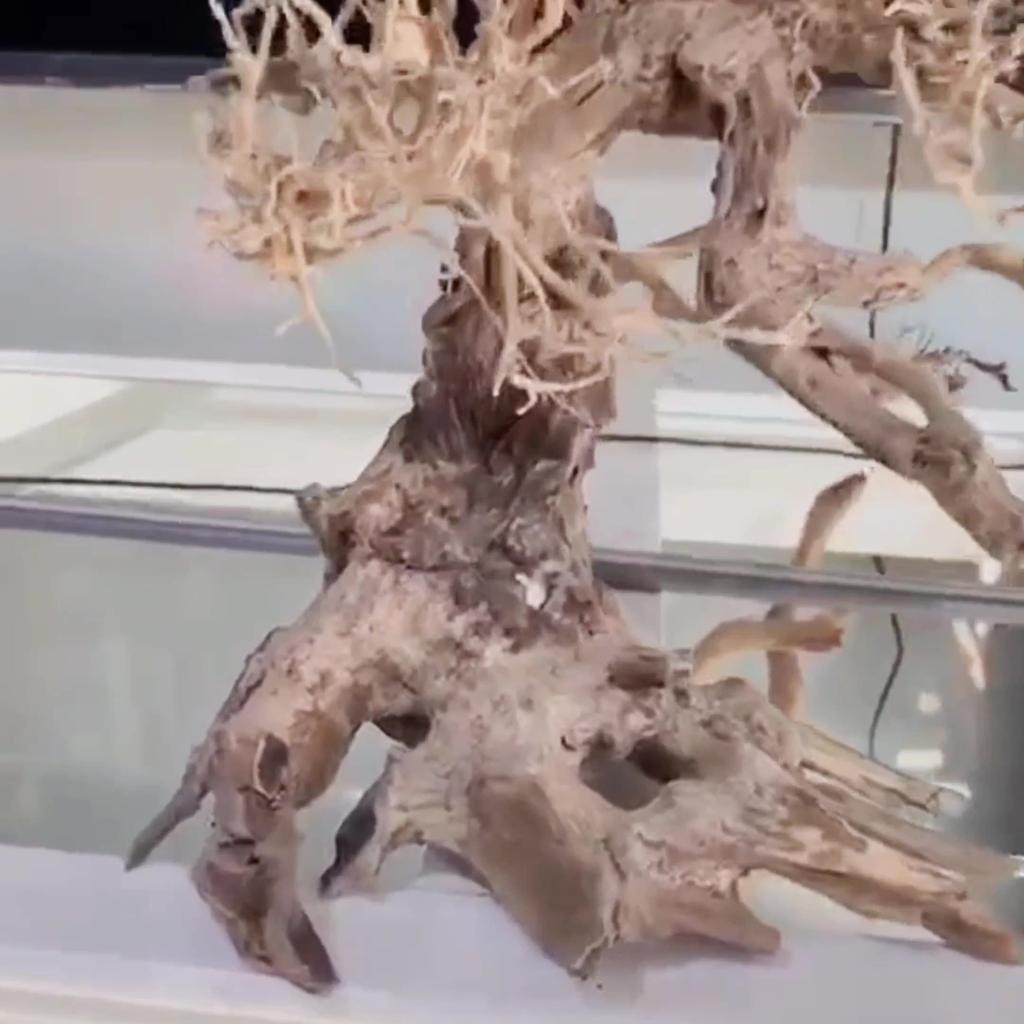 Natural Aquarium Driftwood Assorted Branches Reptile Ornament for Fish Tank Decoration