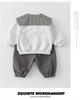 Boys' Stylish Spring/Autumn Korean Hoodie Two-Piece Set for Toddlers