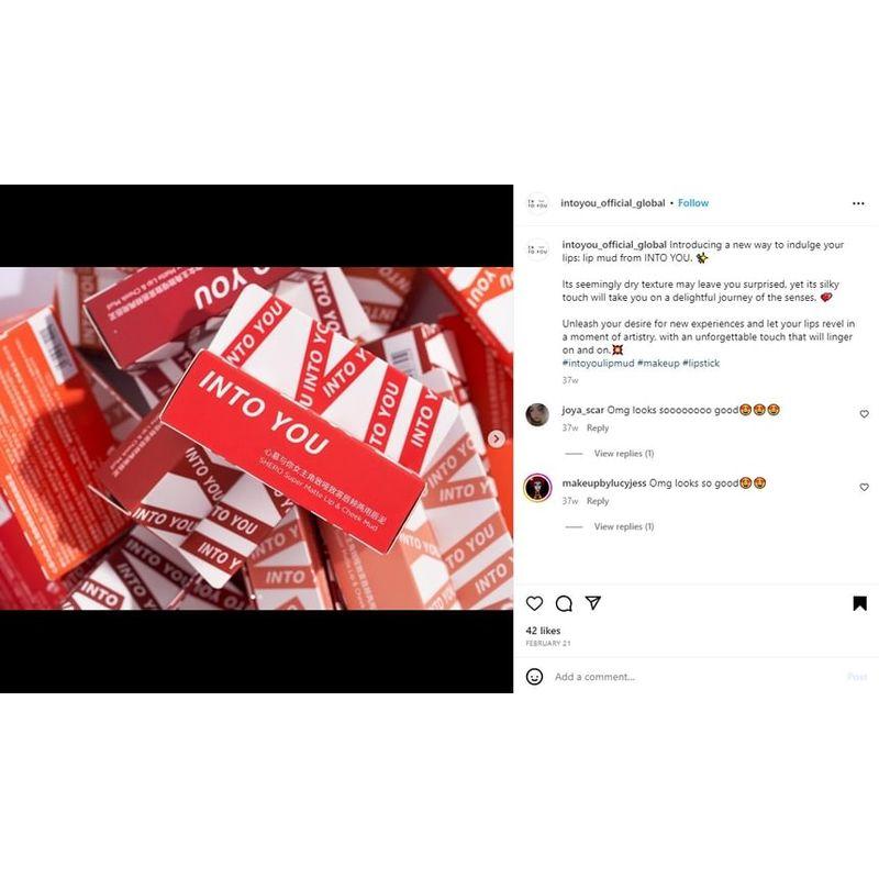 INTO YOU - Lip & Cheek Mud - 4 Colors (EM13-16)