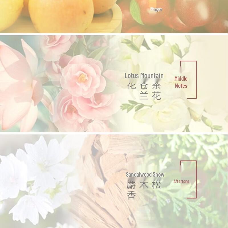 SYOSS Camellia Oil Repair Shampoo & Conditioner Set