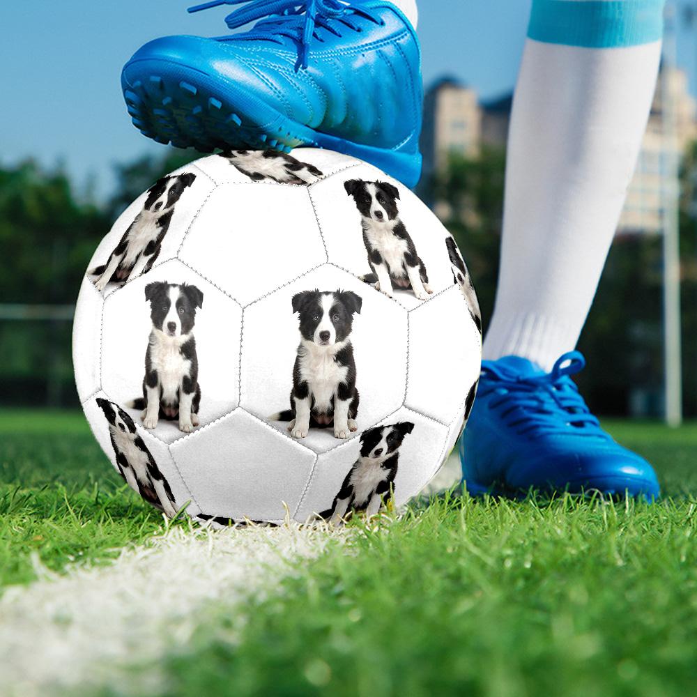 Cute Puppy Indoor Size 5 Soccer Ball Colorful Machine Stitched PVC Competition Ready Durable High-Bounce