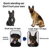 1 Pair Dog Ear Support Patch Dog Ears Stand Sticker Ear Fixed Correction Vertical Holder