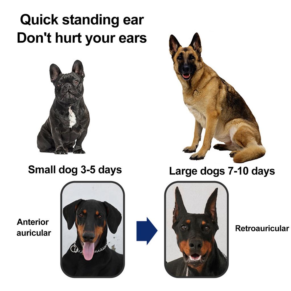 1 Pair Dog Ear Support Patch Dog Ears Stand Sticker Ear Fixed Correction Vertical Holder
