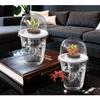 Plastic Material Hydroponic Seed Planter Pots Reusable Durable Seedling Baskets Transparent Plastic Cups Windowsill Gardening