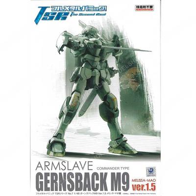 Aoshima Bunka Kyozai Full Metal Panic TSR No.7 Arm Slave Gernsback M9 Ver.1.5 Melissa Mao Custom 1/48 Scale Plastic Model
