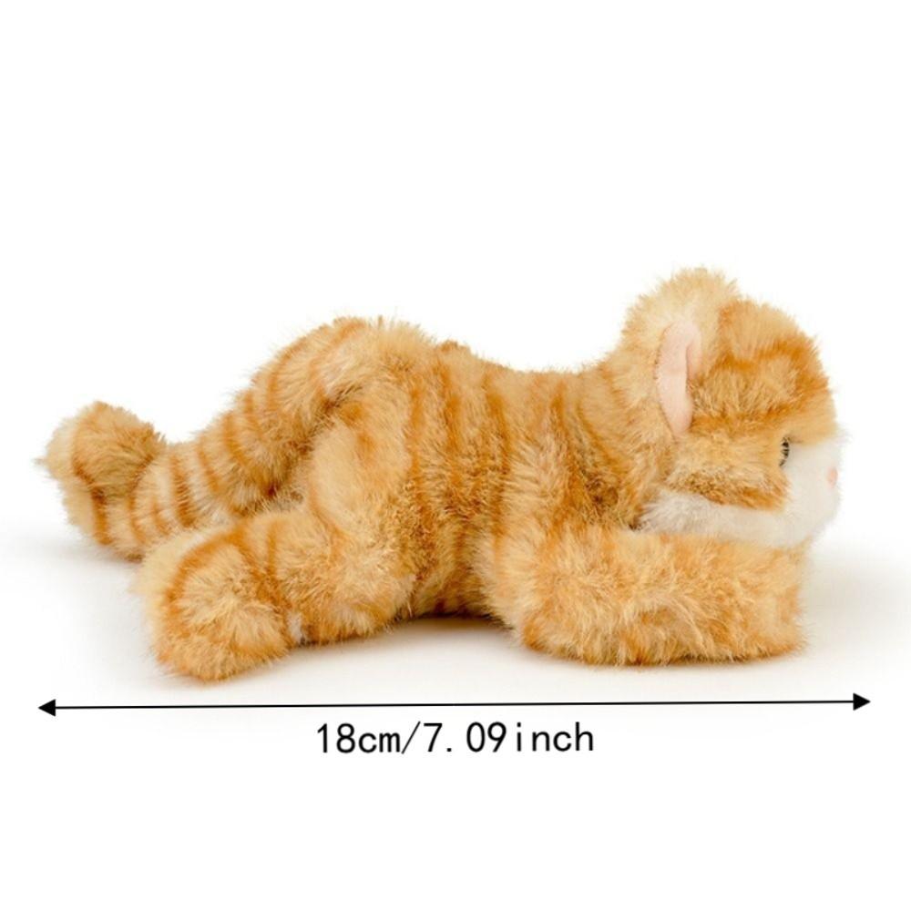 Stofftier Katze Plüschtier Waschbär Kuscheltier Kätzchen Puppe Geburtstagsgeschenk Panda Puppe Kinderspielzeug