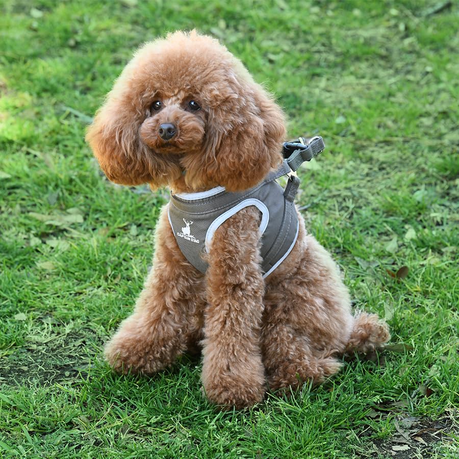 CAPTAIN STAG Deer Logo Harness | Small Dog Harness, Deer Banchou Design, Perfect for Camping, Outdoors, and Glamping (Khaki, Medium)