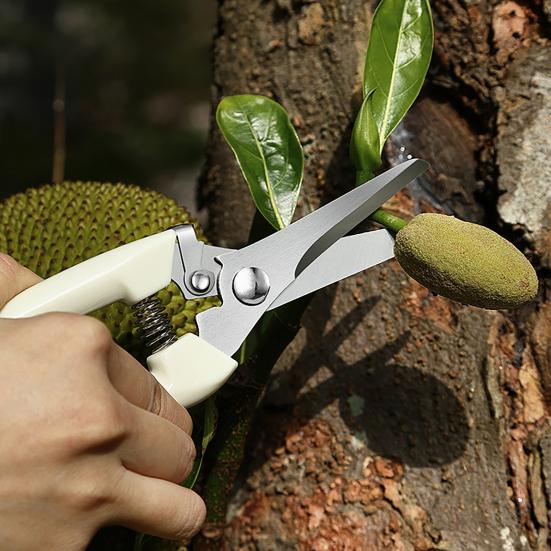 Gartenschere Rostfreie Klingen Handgehaltene Astschere Bypass Gerade Klinge Astschere mit Anti-Rutsch-Griff für Obstbäume Blumen