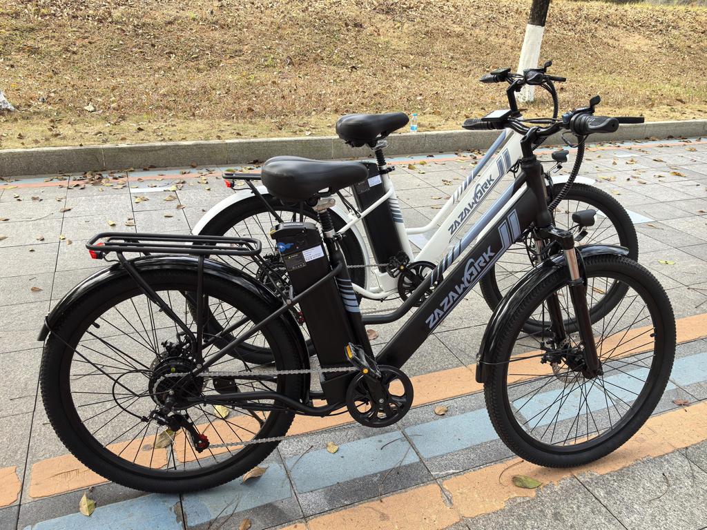 ZAZAWORK C26 Pro Electric Bike for Adults 26" 250W Motor 36V 20Ah Battery 26 Inch Wide Tires 120KM Range E-Bike