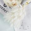 Feixe de Capim dos Pampas, Capim Rabo de Coelho, Juncos, Capim dos Pampas – Decoração Seca Fofa para Casa