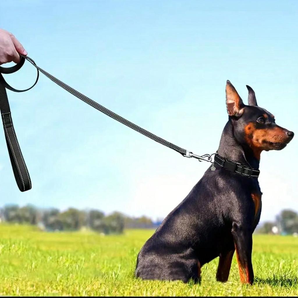Pfotenabdruck & Reflektierendes Garn Hundehalsband, Haustierbedarf, Reflektierendes Nylonhalsband, für Große/mittlere/kleine Hunde, Verstellbare Größe